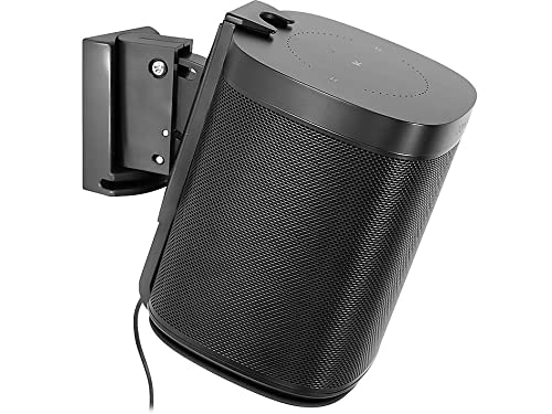 Amazon.com: Mount-It! Adjustable Speaker Wall Mount for